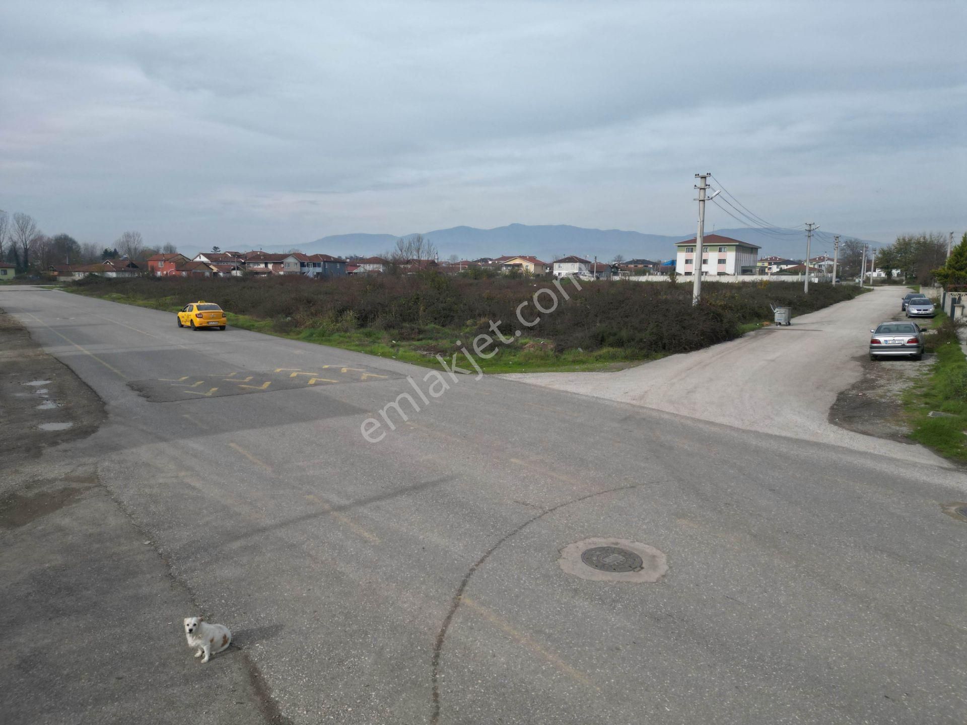 Bir Emlak'tan Çevre Yoluna Cepheli 4937 M2 Satılık Arsa - Görsel 10