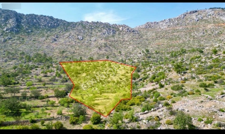 Anchor Gayrimenkul'den Aydıncık Yenikaş Mahallesin'de Satılık Tarla - Görsel 4