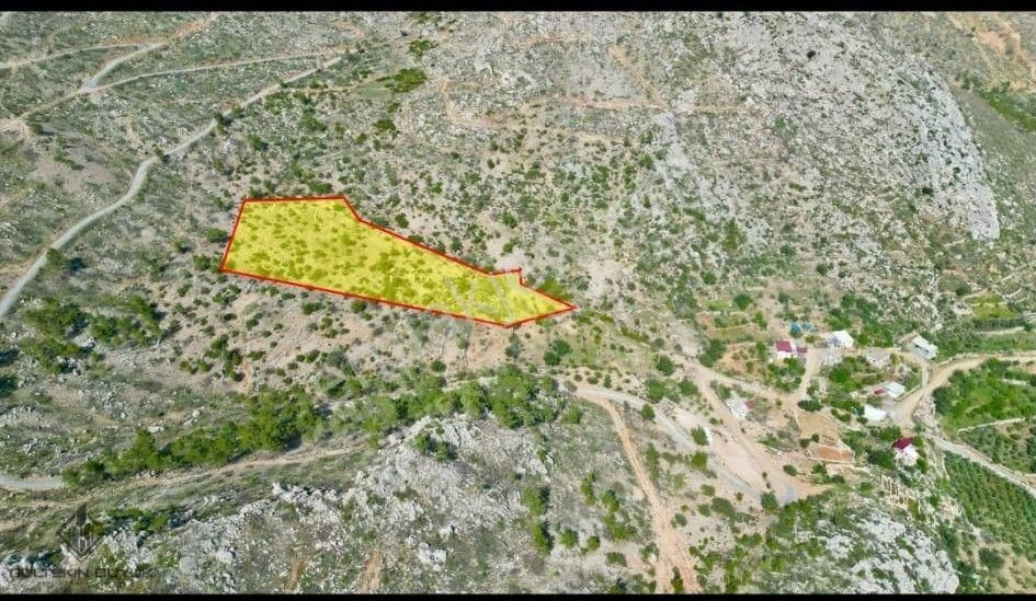 Anchor Gayrimenkul'den Aydıncık Yenikaş Mahallesin'de Satılık Tarla - Görsel 8