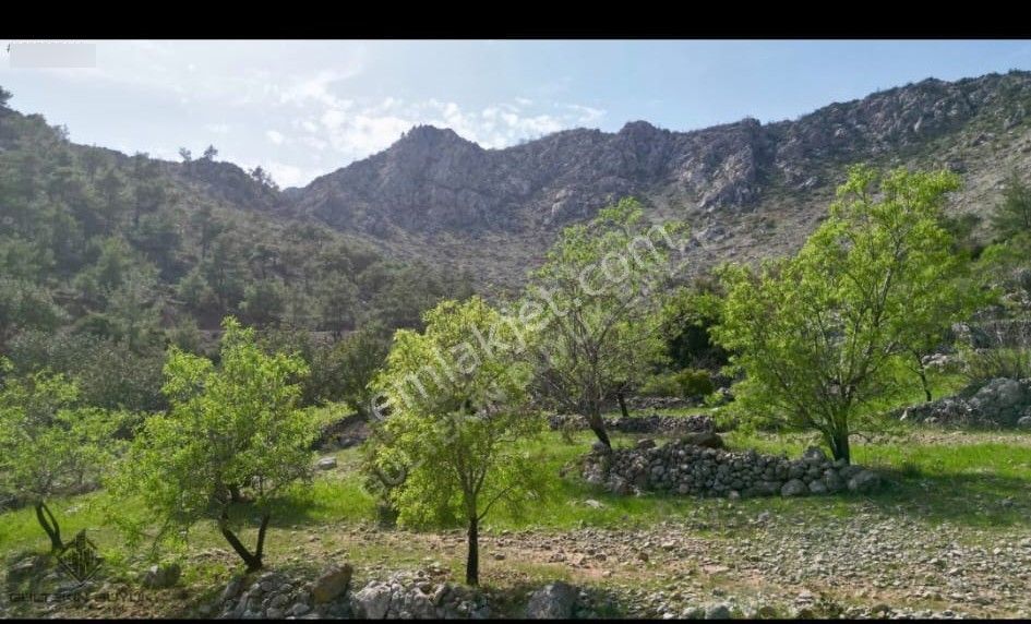 Anchor Gayrimenkul'den Aydıncık Yenikaş Mahallesin'de Satılık Tarla - Görsel 5