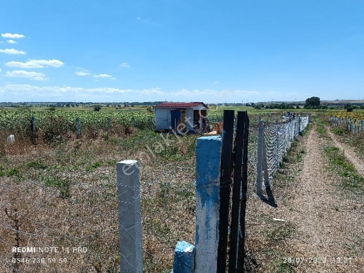 Vize Evrenli 117/3 Parselde Satılık 300 M2 Tarla Etrafında Yapılar Mevcuttur - Görsel 10