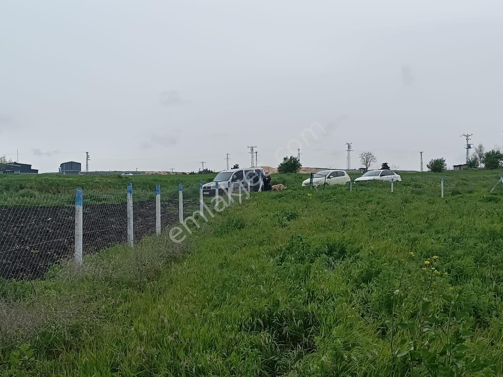 Vize Evrenli 117/3 Parselde Satılık 300 M2 Tarla Etrafında Yapılar Mevcuttur - Görsel 3