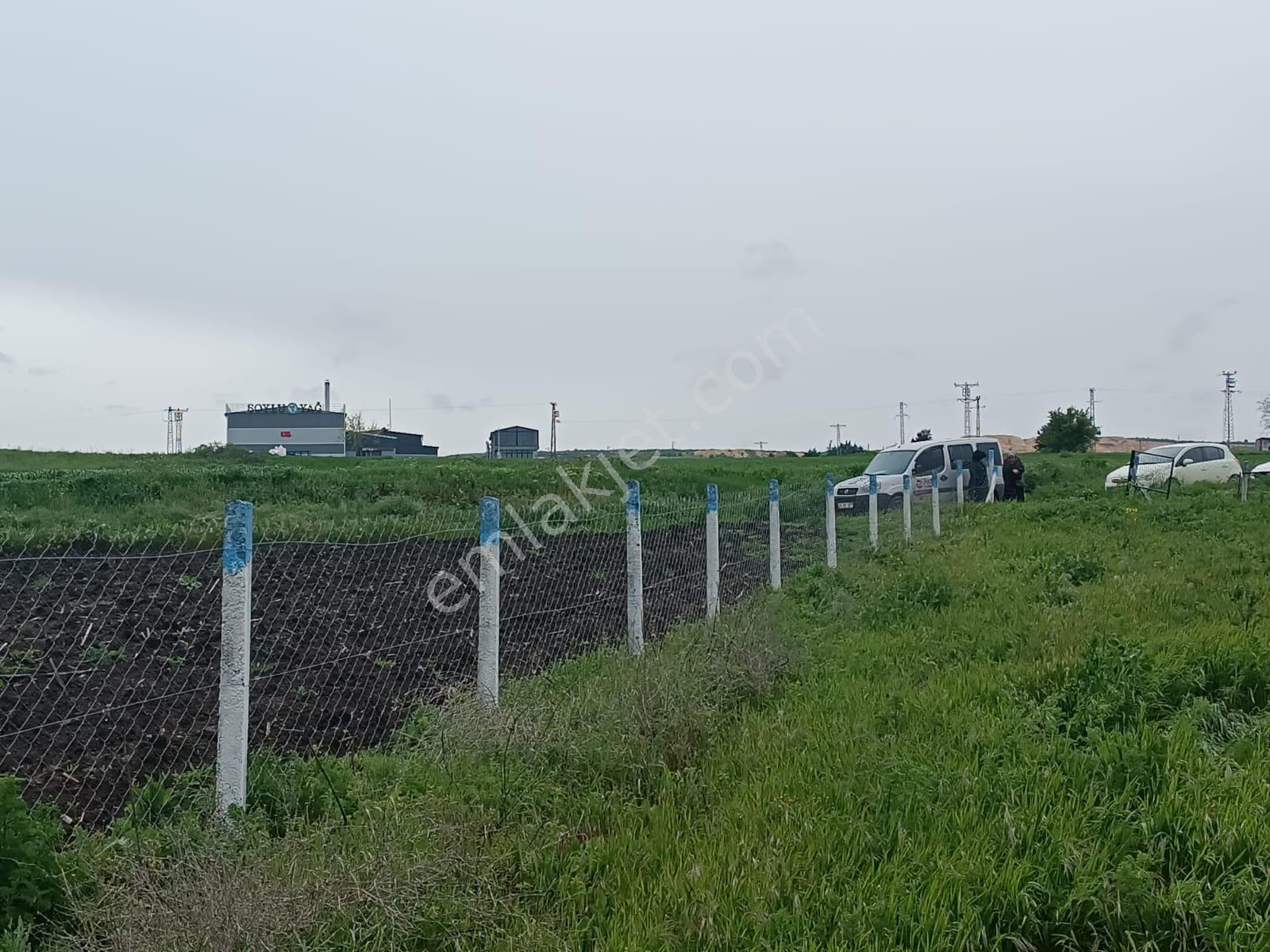 Vize Evrenli 117/3 Parselde Satılık 300 M2 Tarla Etrafında Yapılar Mevcuttur - Görsel 4