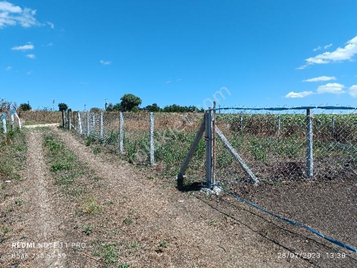Vize Evrenli 117/3 Parselde Satılık 300 M2 Tarla Etrafında Yapılar Mevcuttur - Görsel 12