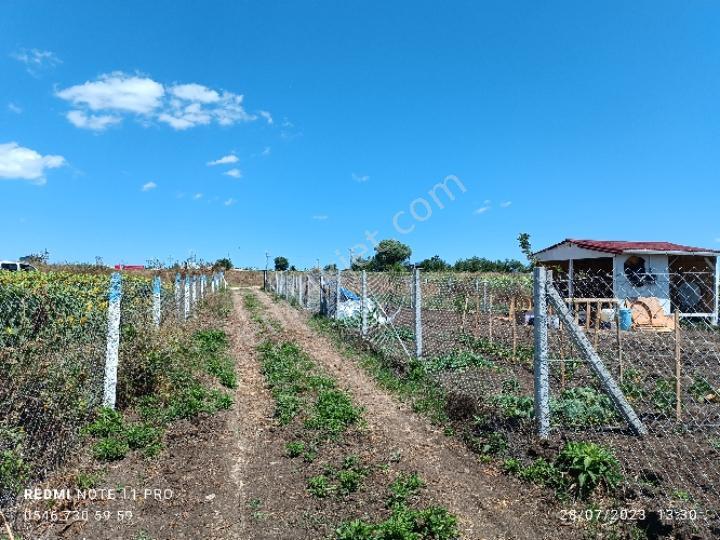 Vize Evrenli 117/3 Parselde Satılık 300 M2 Tarla Etrafında Yapılar Mevcuttur - Görsel 17