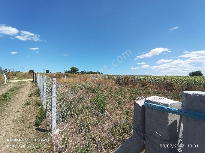 Vize Evrenli 117/3 Parselde Satılık 300 M2 Tarla Etrafında Yapılar Mevcuttur - Görsel 13