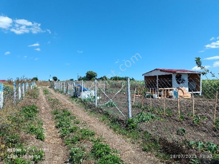 Vize Evrenli 117/3 Parselde Satılık 300 M2 Tarla Etrafında Yapılar Mevcuttur
