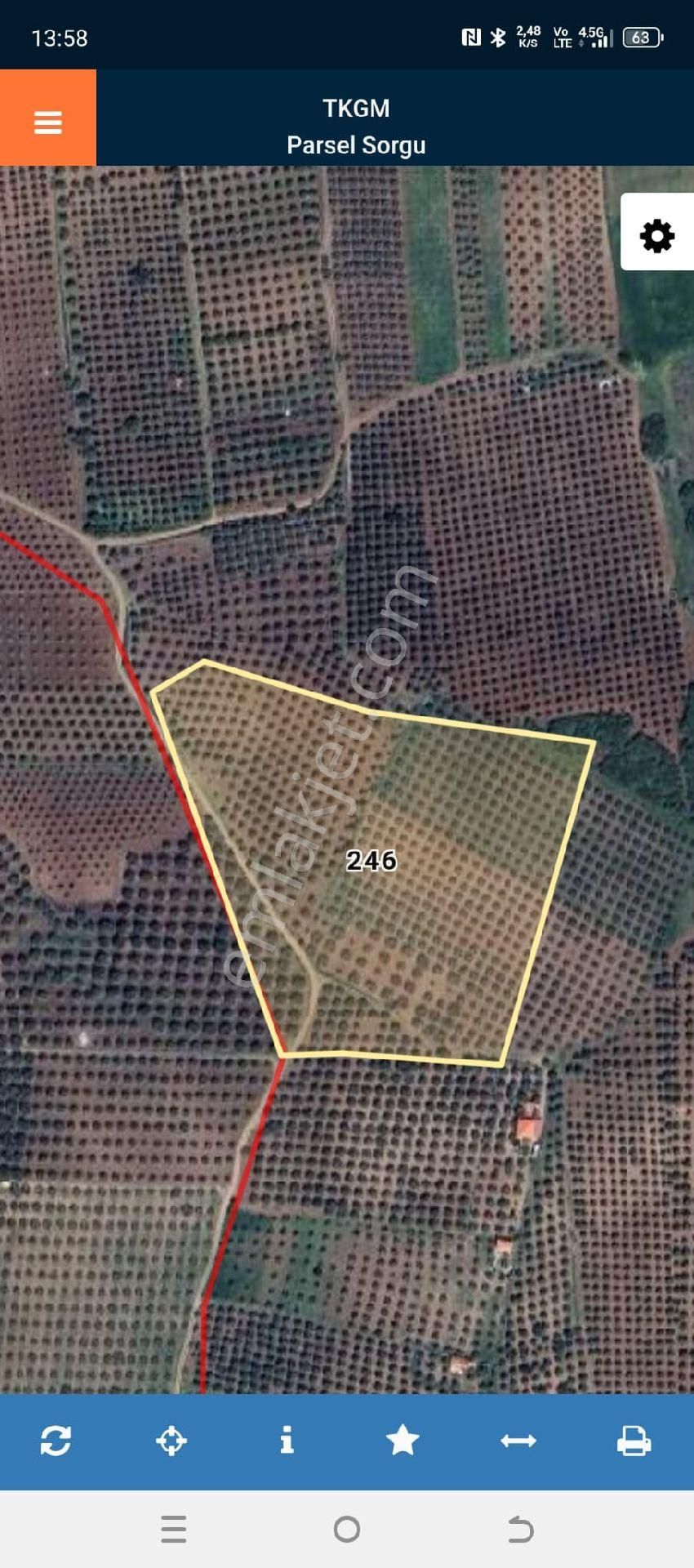 Manisa Akhisar Hasköy Masantı Mevki Satılık Zeytinlik