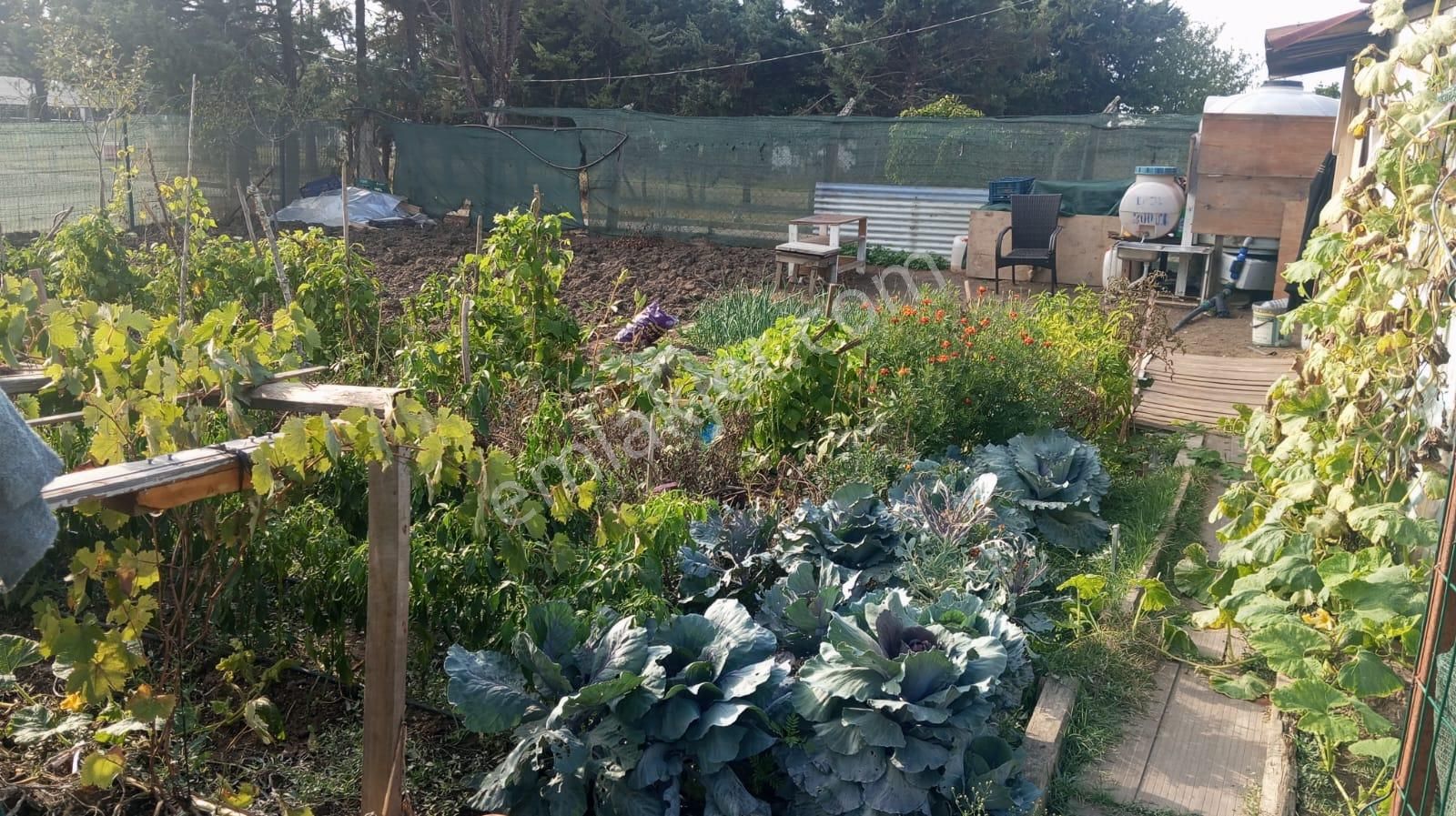 Alban'dan Hobi Bahçesi Ve Yaz-kış Karavan İçin Uygun 300m2 Arsa - Görsel 3