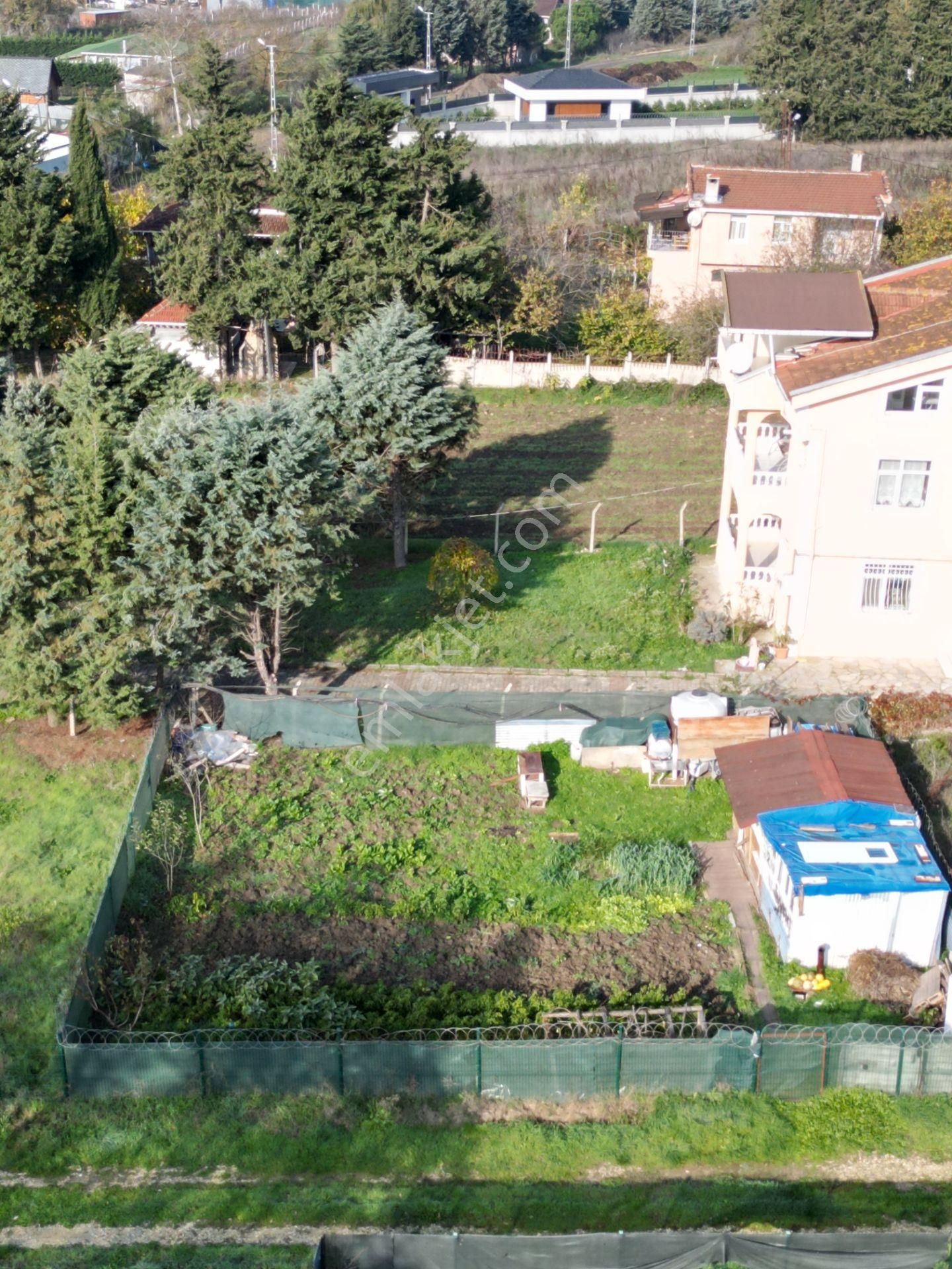 Alban'dan Hobi Bahçesi Ve Yaz-kış Karavan İçin Uygun 300m2 Arsa