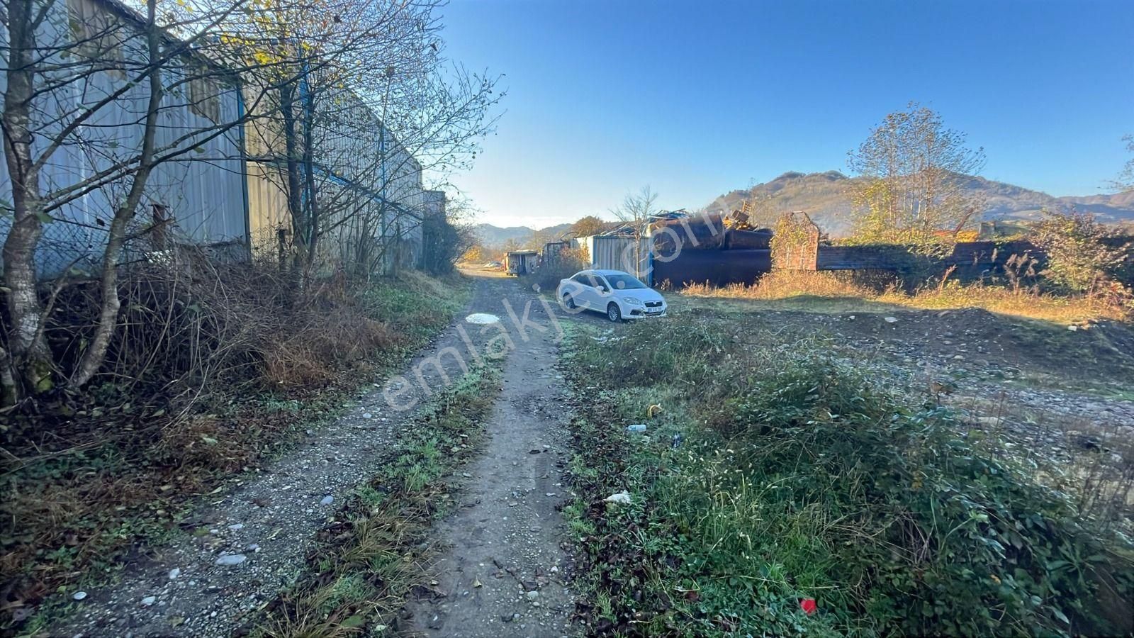 Giresun Tirebolu'da Satılık Arazi - Görsel 24