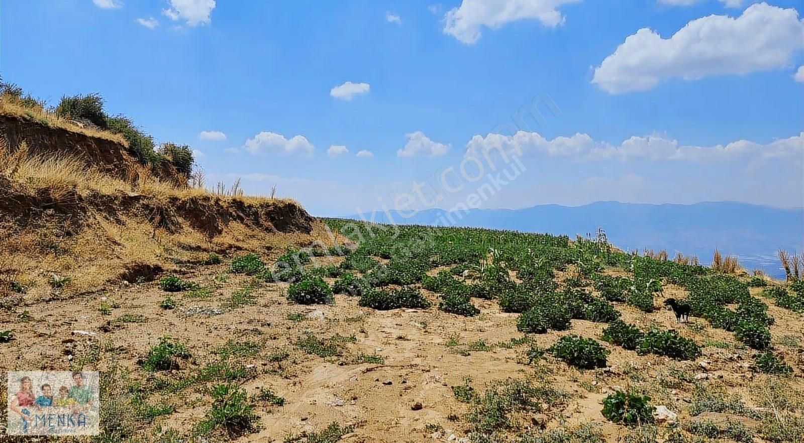 Aydın Karacasu Ataköy Yaylasında Yatırıma Uygun Satılık Tarla - Görsel 19
