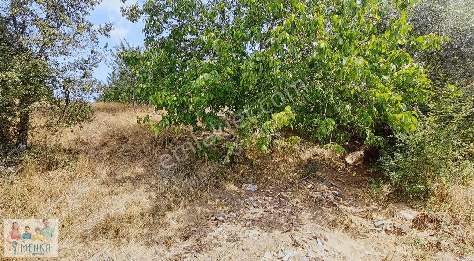 Aydın Karacasu Ataköy Yaylasında Yatırıma Uygun Satılık Tarla - Görsel 8
