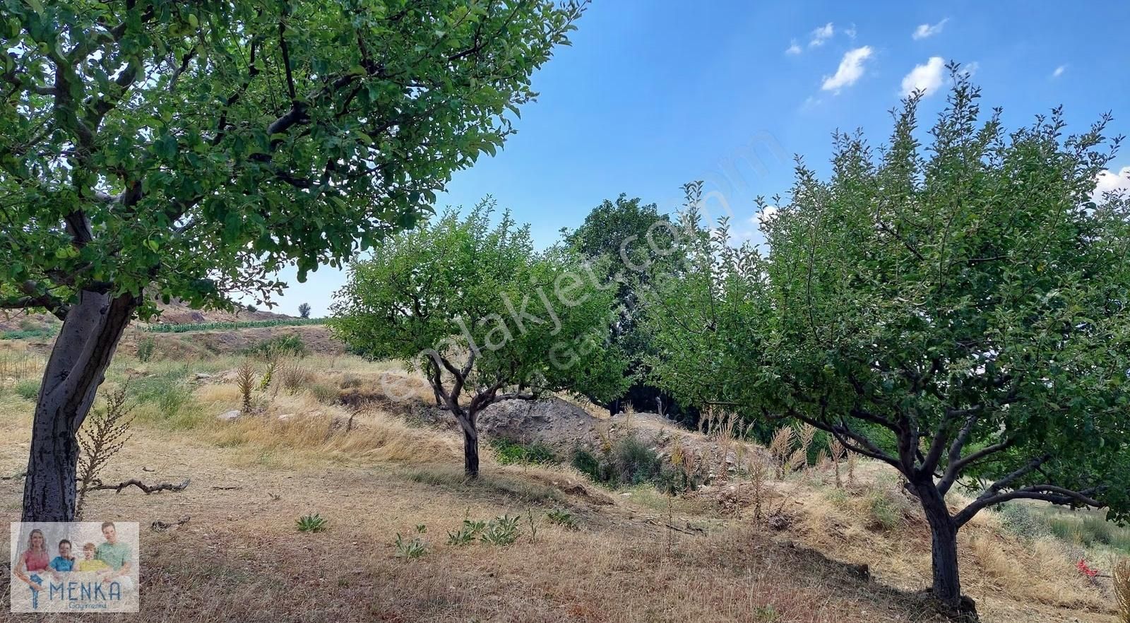 Aydın Karacasu Ataköy Yaylasında Yatırıma Uygun Satılık Tarla