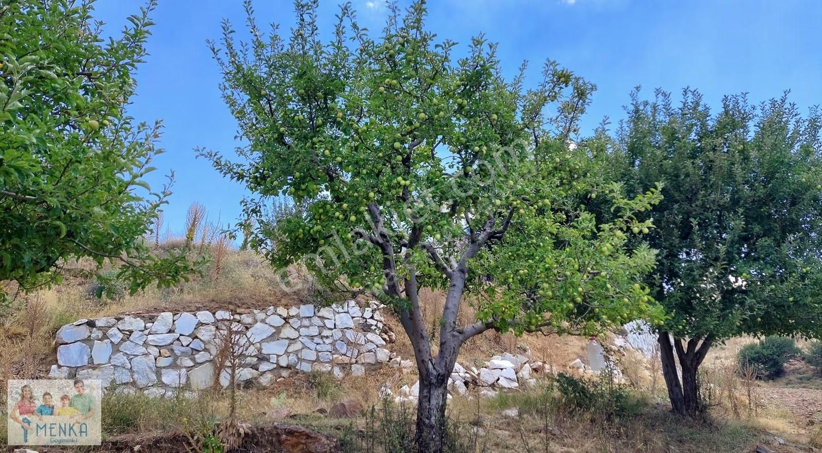 Aydın Karacasu Ataköy Yaylasında Yatırıma Uygun Satılık Tarla - Görsel 10