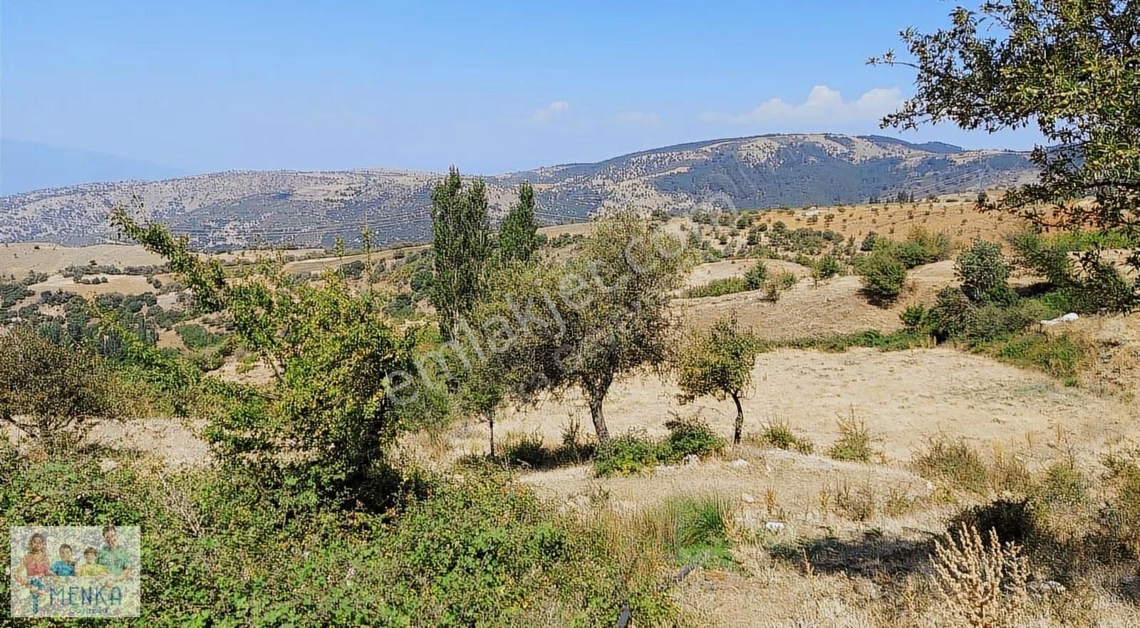 Aydın Karacasu Ataköy Yaylasında Yatırıma Uygun Satılık Tarla - Görsel 15