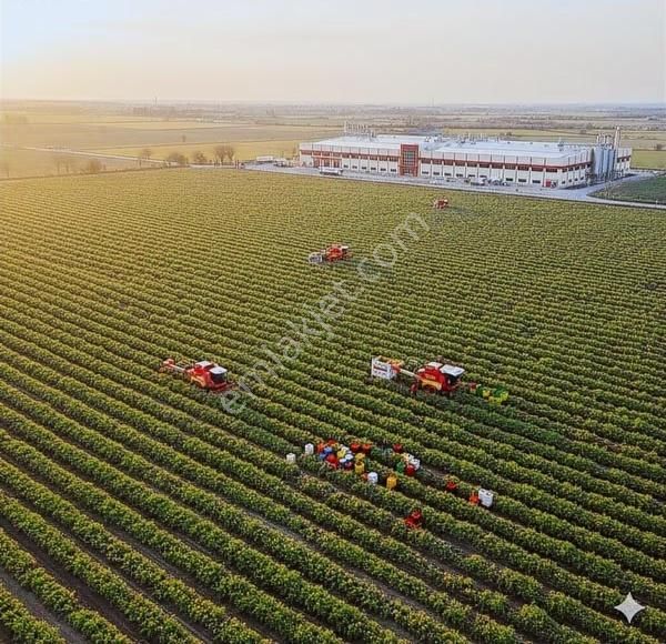 Sektöründe Lider Yatırım Fırsatı Bursa Salça Ve Gıda Üretim Devi