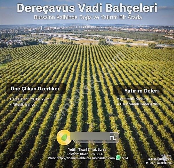 Armut Bahçesi Dereçavuş Vadi Bahçeleri" - Bursa'nın Kalbinde