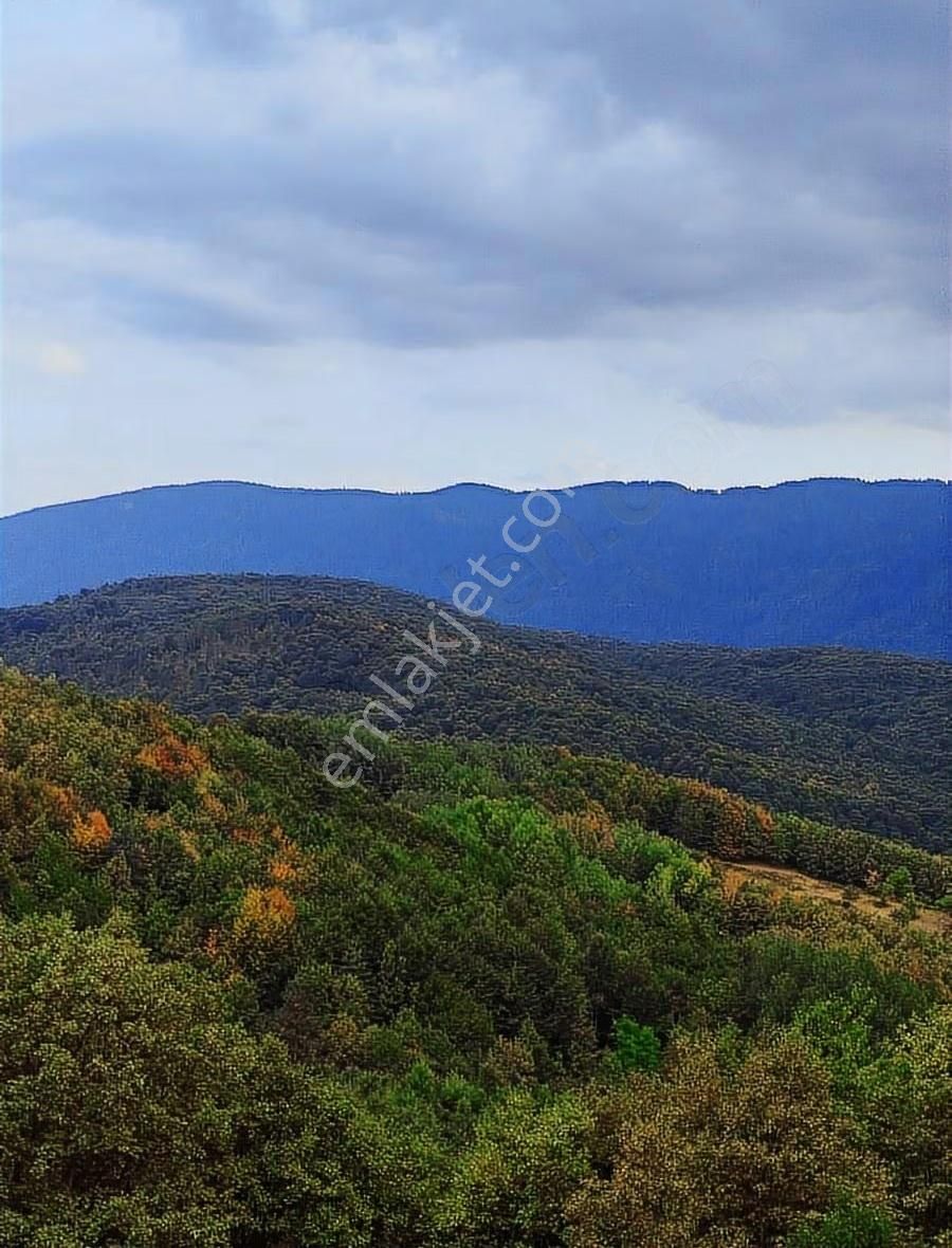 İnegöl, Gedikpınar'da Benzersiz Ev Villa Yapmaya Uygun Arsa - Görsel 4
