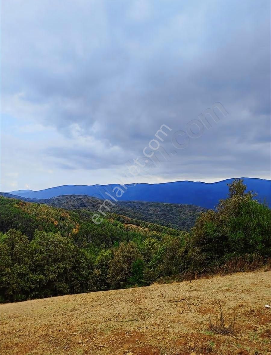 İnegöl, Gedikpınar'da Benzersiz Ev Villa Yapmaya Uygun Arsa - Görsel 3