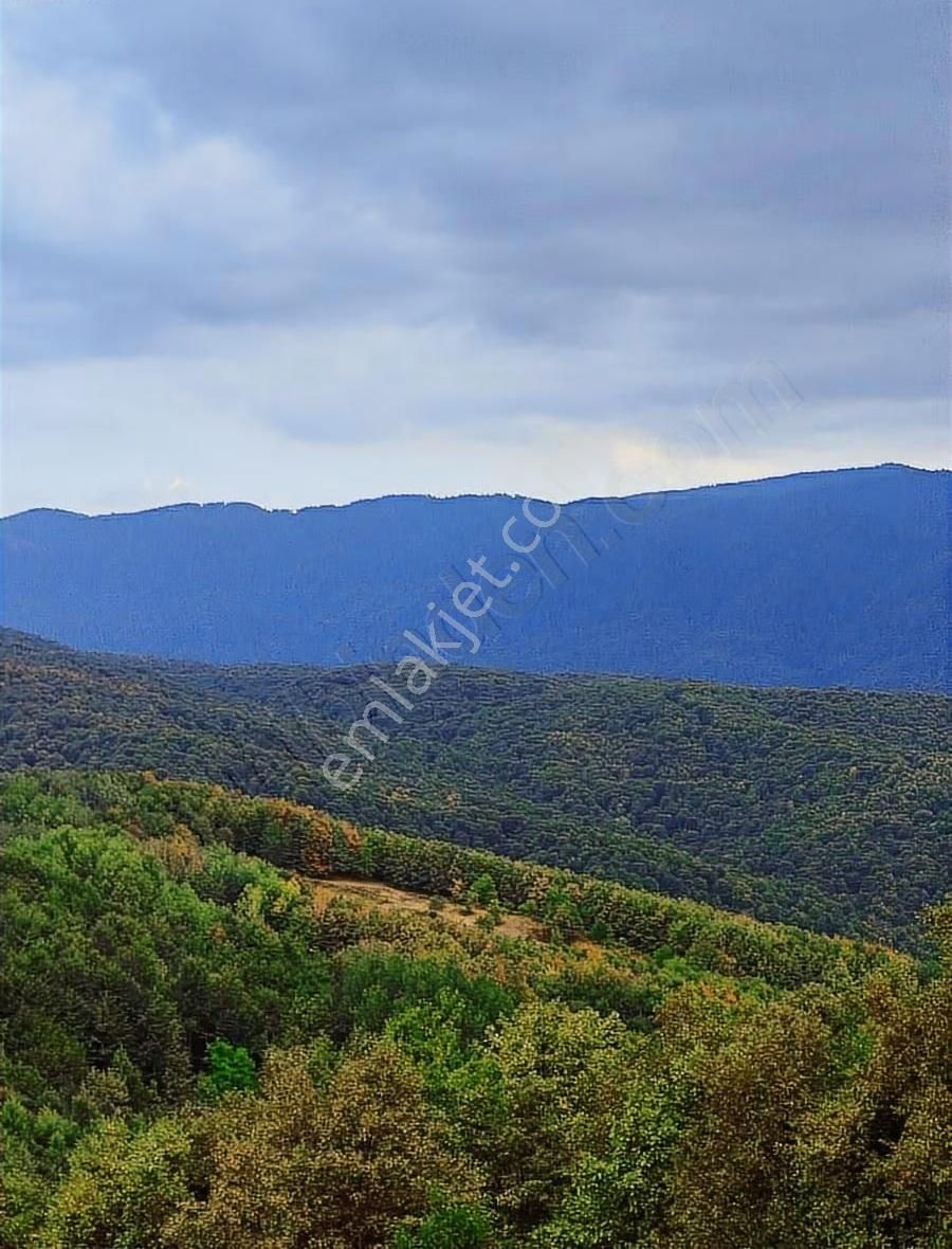 İnegöl, Gedikpınar'da Benzersiz Ev Villa Yapmaya Uygun Arsa - Görsel 5