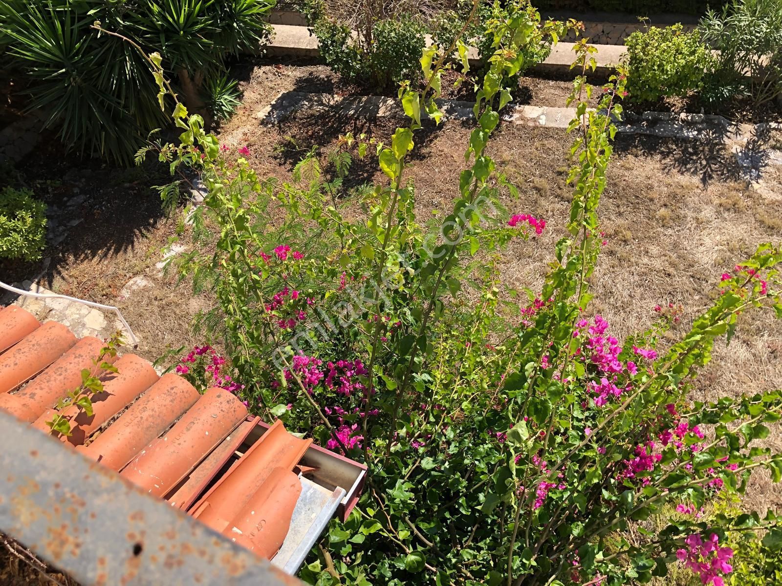 Alaçatı Gayrimenkulden Dalyan Cumhuriyet Mh.de Site İçinde Villa - Görsel 30