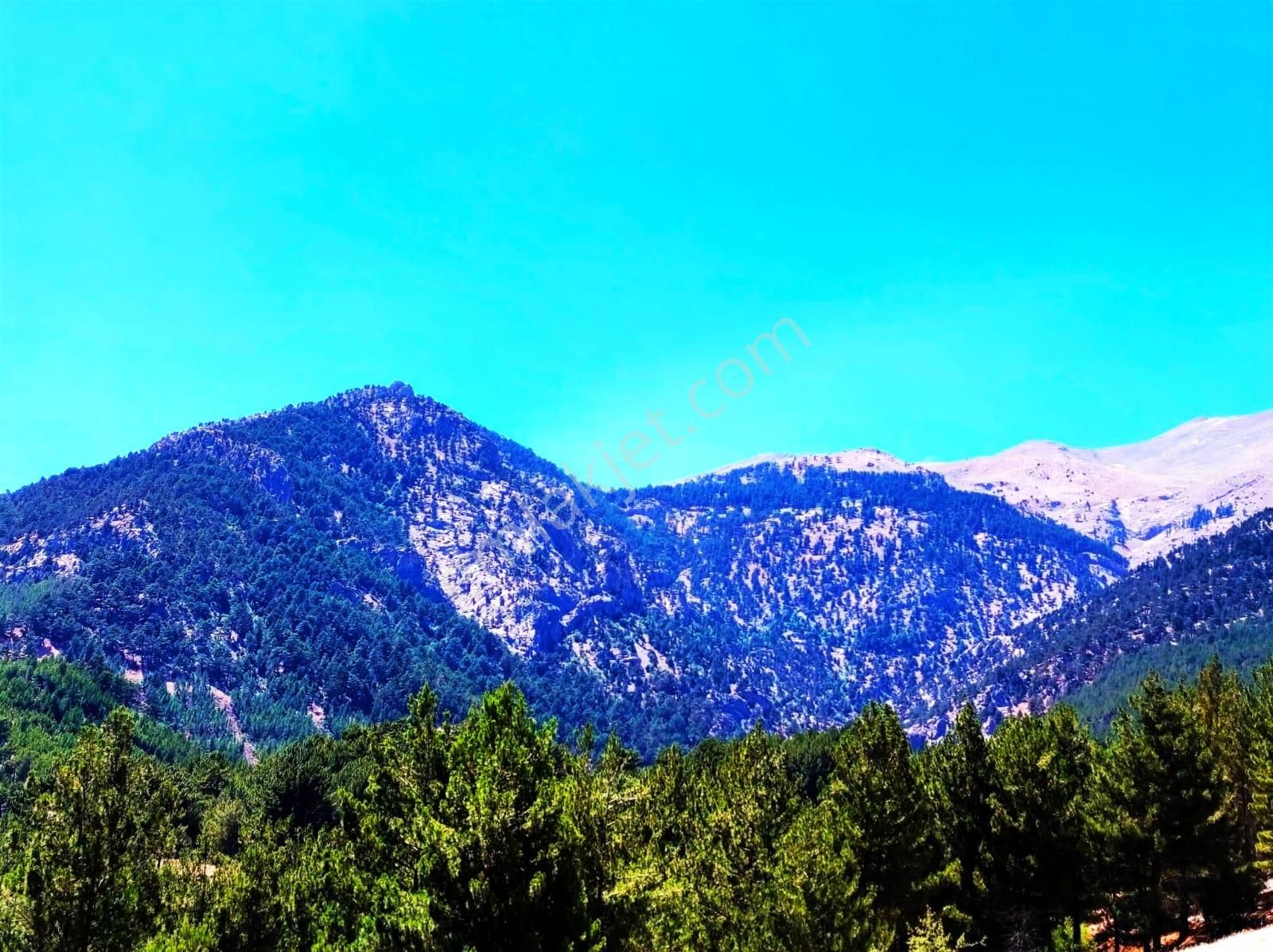 Yeni Konacık Efes Sitesinin Yanında 480 M2 Arsa