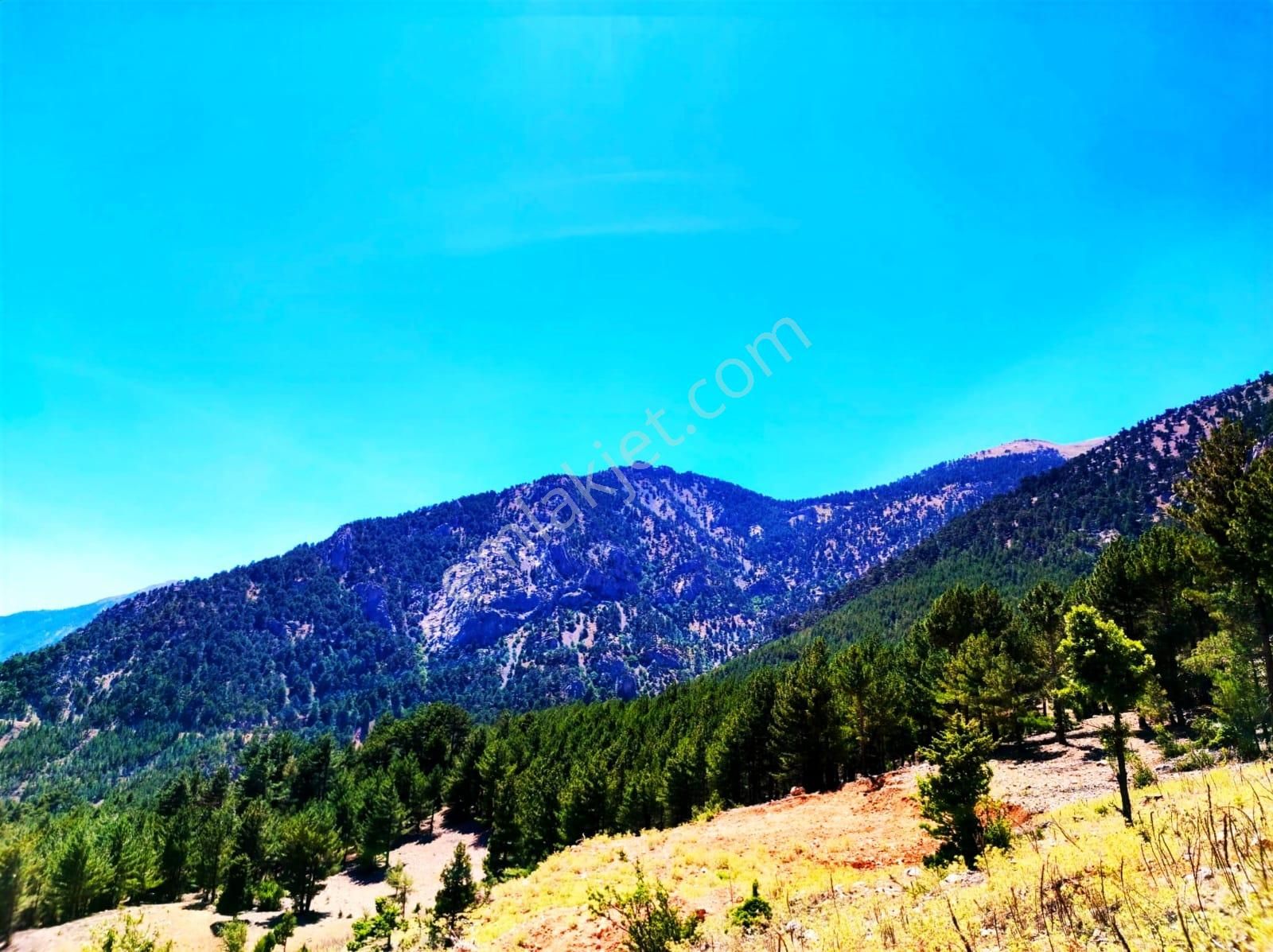 Yeni Konacık Efes Sitesinin Yanında 480 M2 Arsa - Görsel 9