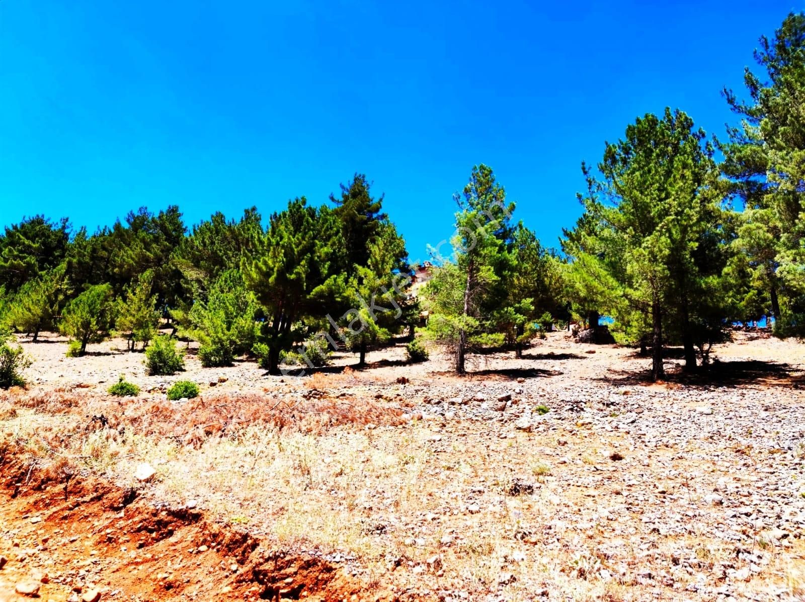 Yeni Konacık Efes Sitesinin Yanında 480 M2 Arsa - Görsel 27