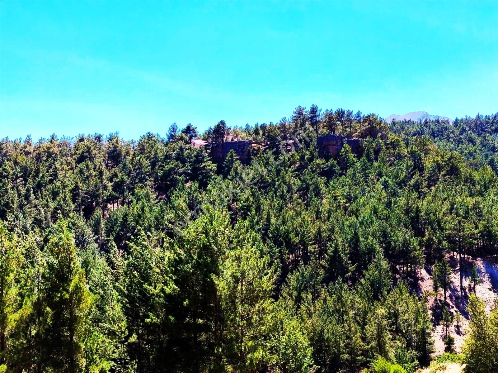 Yeni Konacık Efes Sitesinin Yanında 480 M2 Arsa - Görsel 29