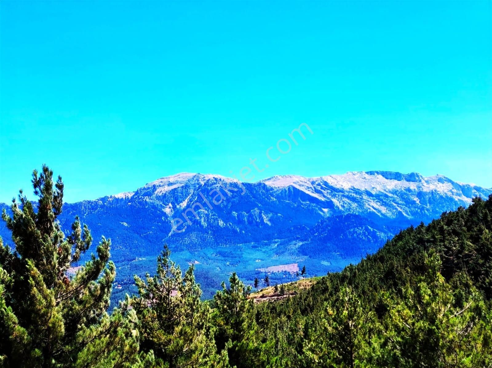 Yeni Konacık Efes Sitesinin Yanında 480 M2 Arsa - Görsel 17