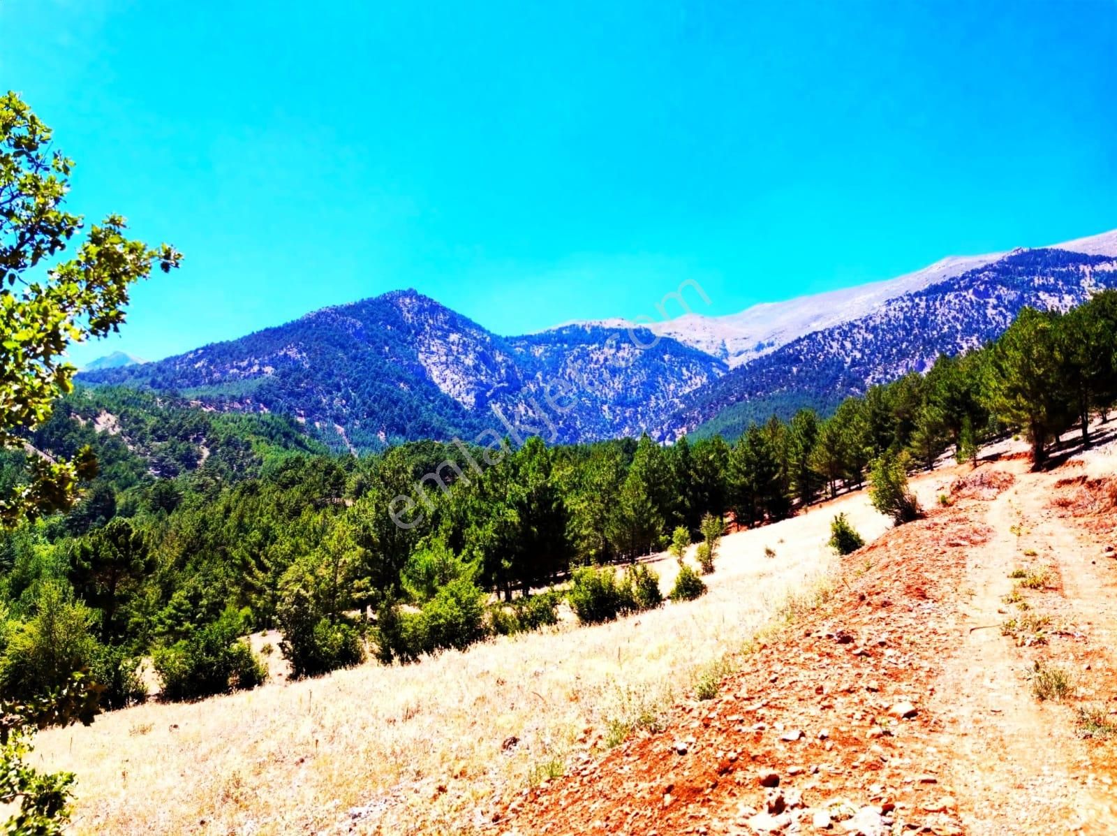 Yeni Konacık Efes Sitesinin Yanında 480 M2 Arsa - Görsel 7