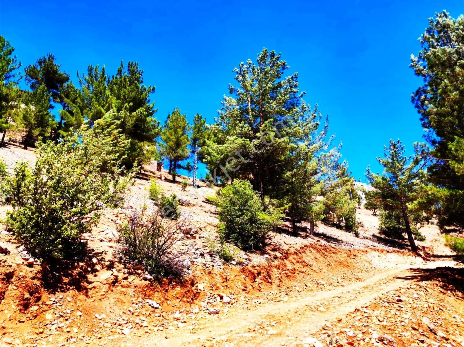 Yeni Konacık Efes Sitesinin Yanında 480 M2 Arsa - Görsel 19