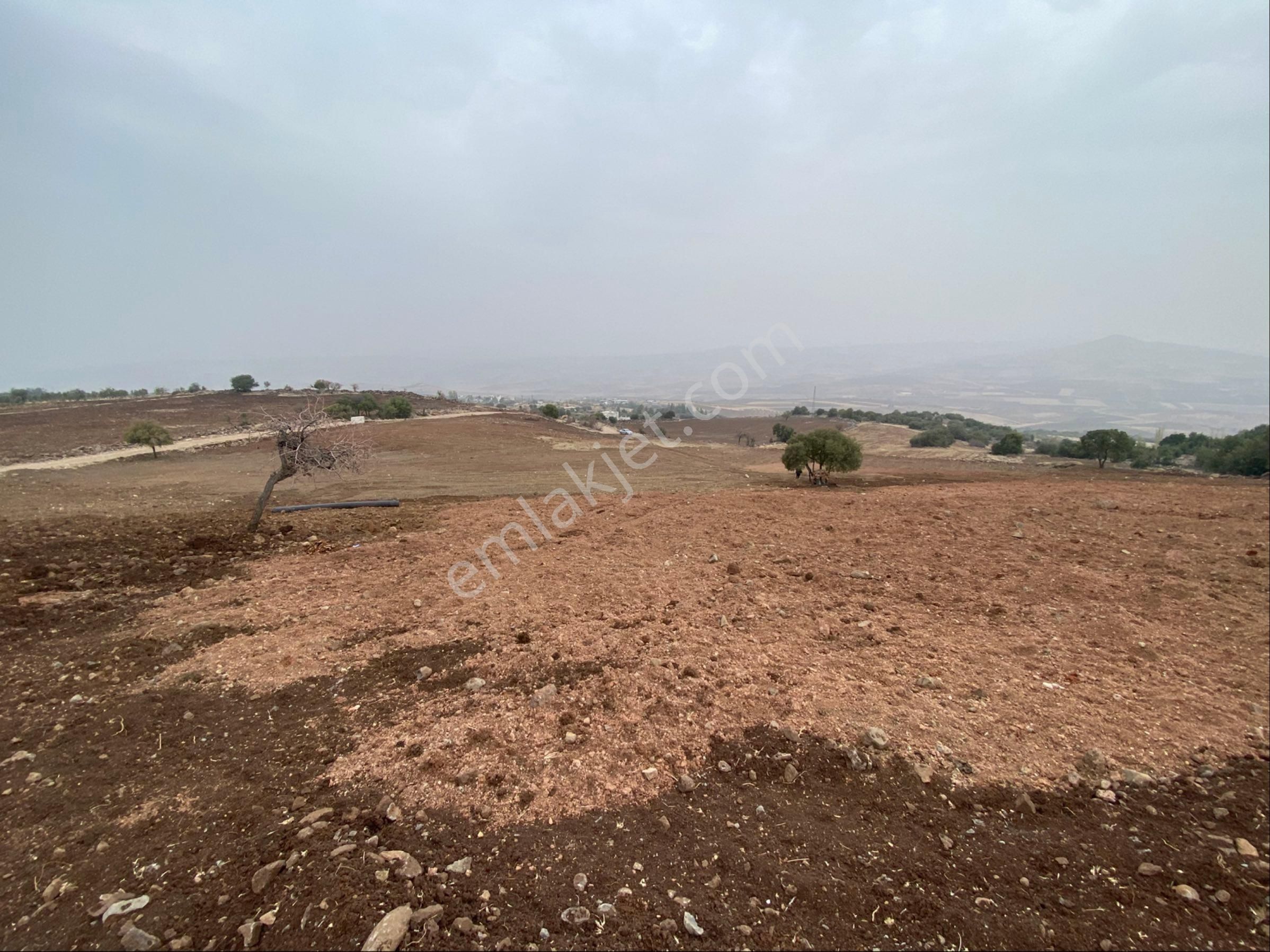 Kayalar Emlaktan Satılık Villa Bağ Elik Yer - Görsel 9