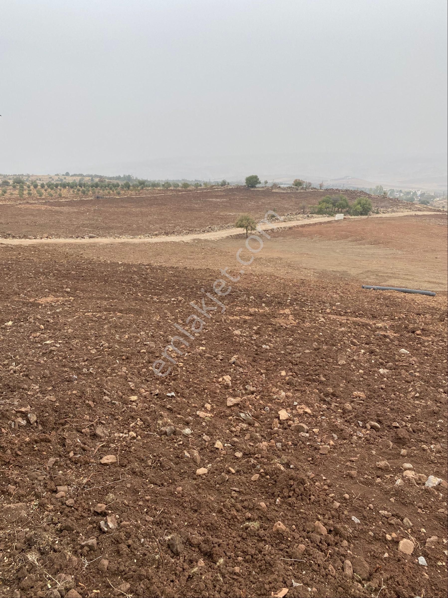 Kayalar Emlaktan Satılık Villa Bağ Elik Yer - Görsel 2