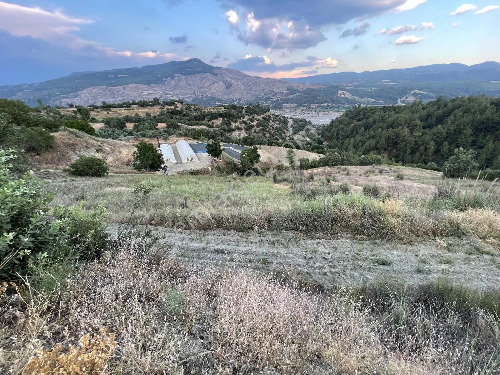 Muğla Menteşe Esençay Mah. Satılık Tarla - Görsel 6