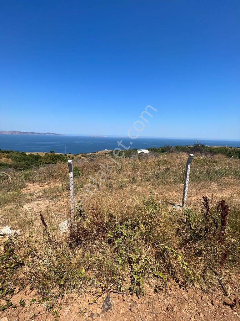 Sahilyenicede Full Deniz Manzaralı Araç Takaslı Satılık Arazi - Görsel 9
