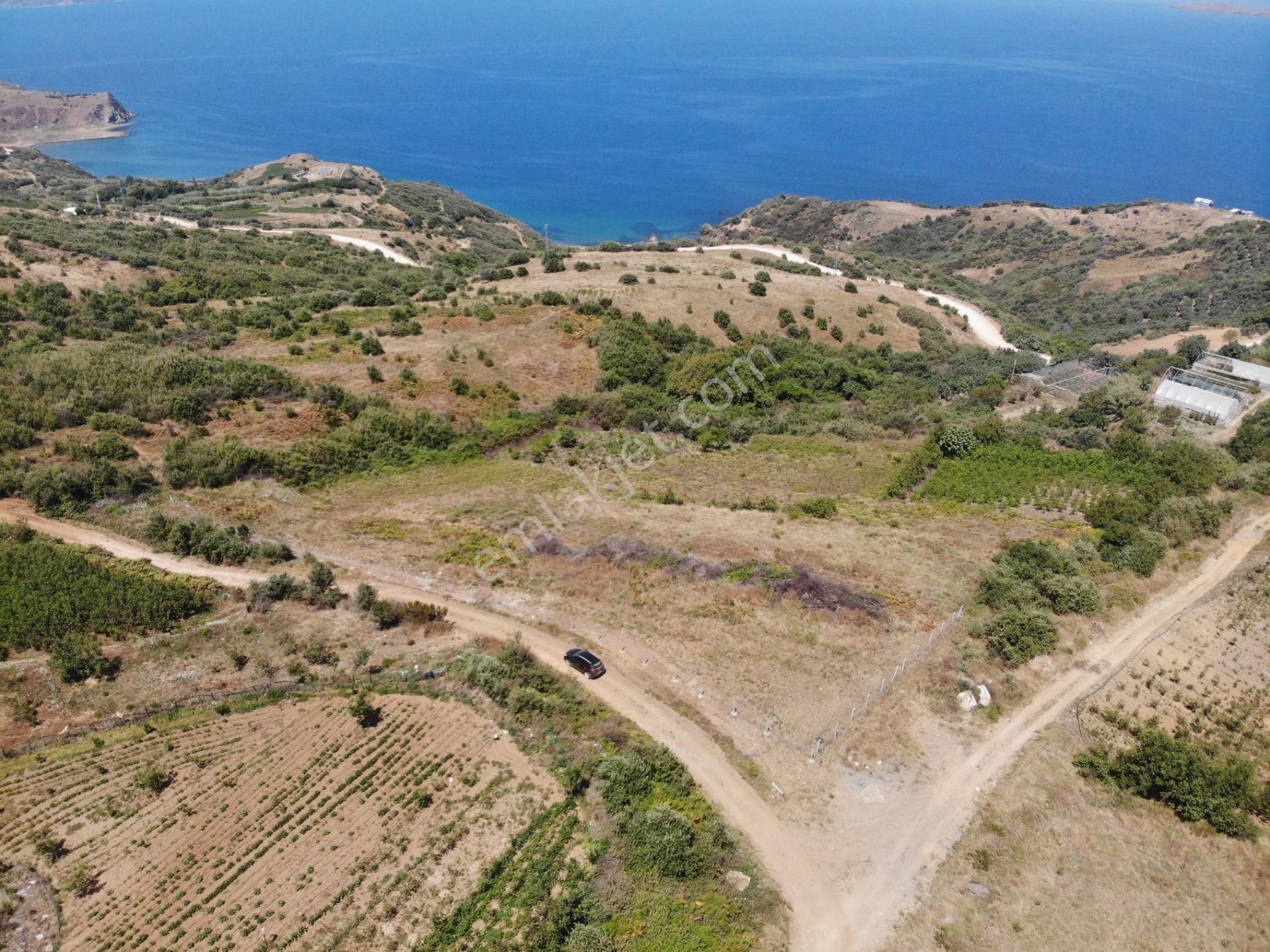 Sahilyenicede Full Deniz Manzaralı Araç Takaslı Satılık Arazi - Görsel 3