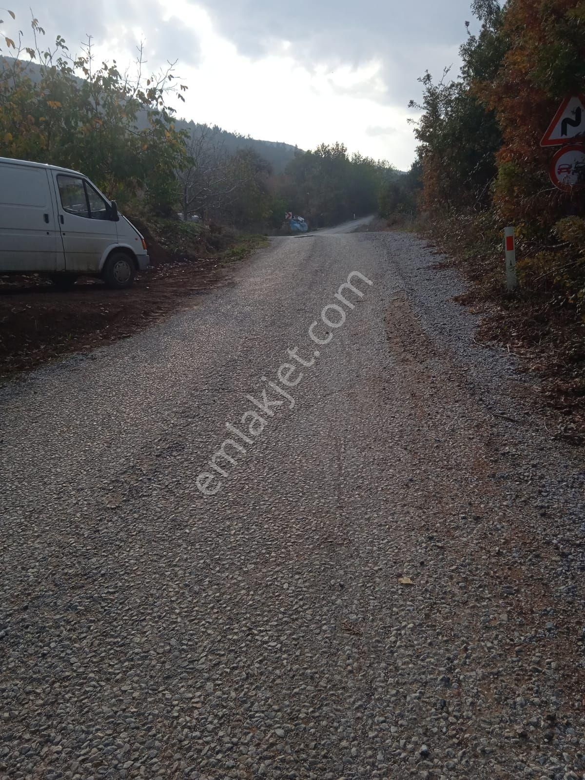 Satılık Meyve Bahçesi - Görsel 18
