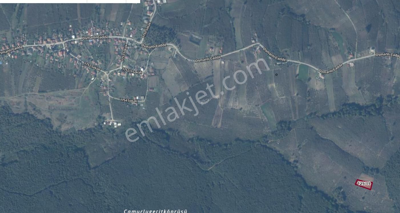 Sakarya Ferizli Nalköyde Acil Satılık Bahçeler - Görsel 5