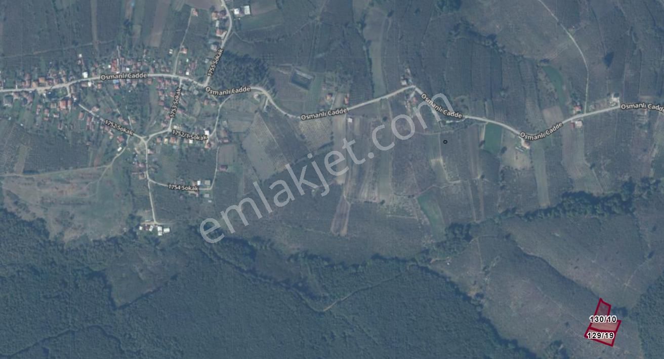 Sakarya Ferizli Nalköyde Acil Satılık Bahçeler - Görsel 7