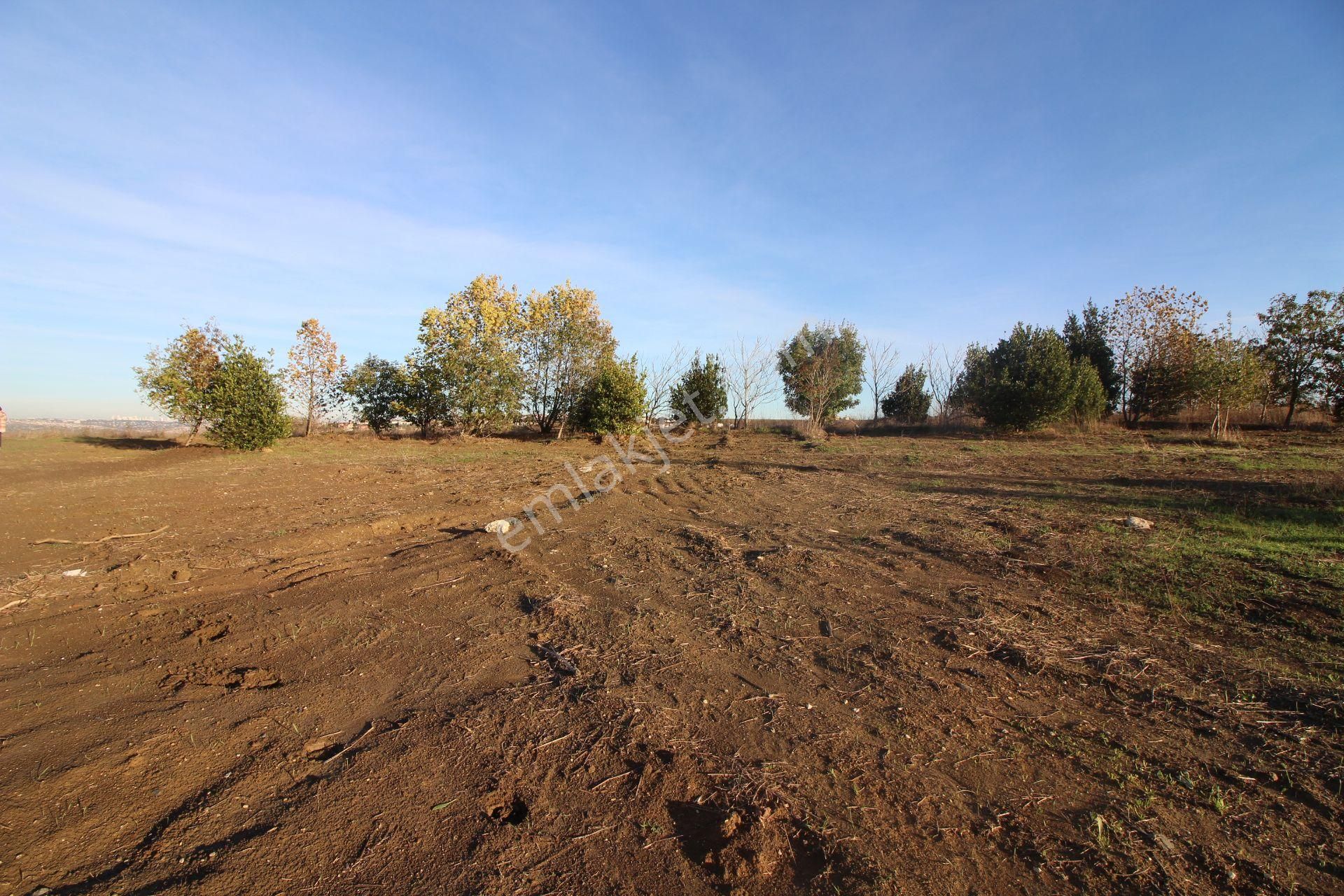 Büyükçekmece Türkoba Mah Satılık Arsa Site İçerisinde 591 M2 - Görsel 16