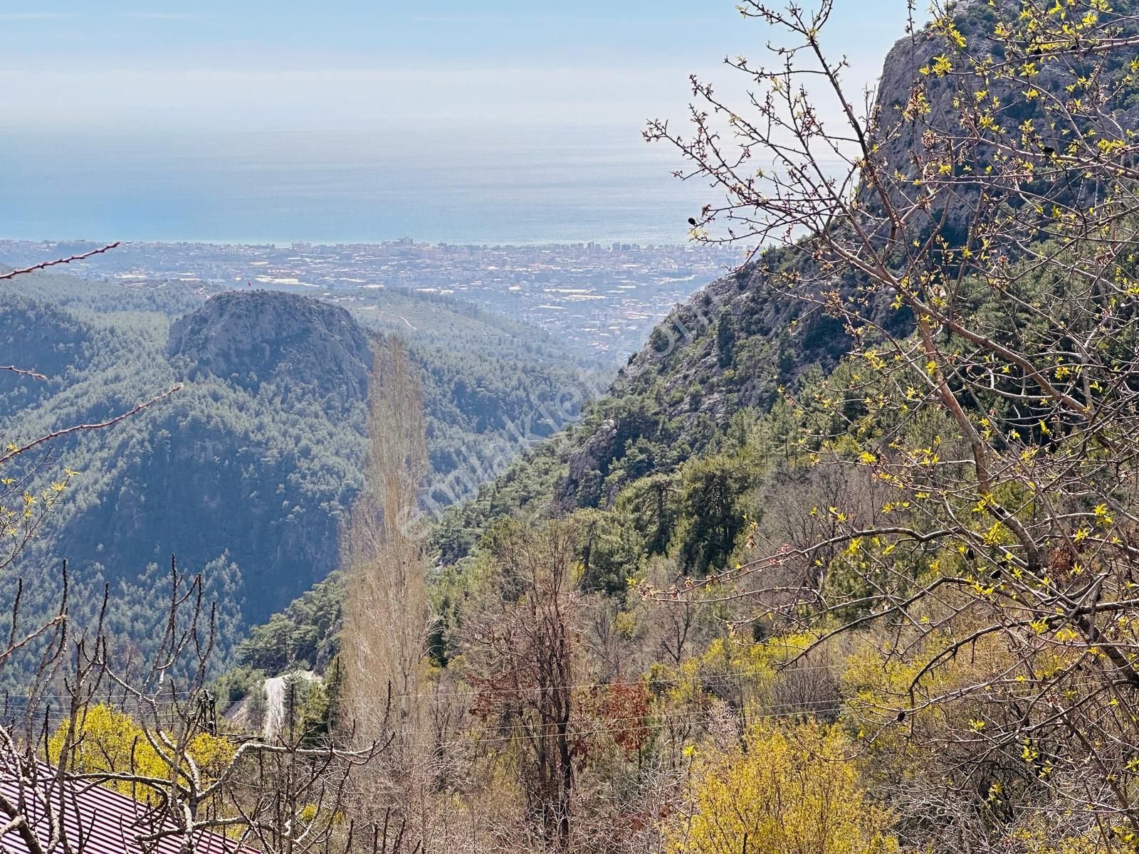 Doğa İçinde Badem Bahçeli Tarla .paradan Değerli - Görsel 7