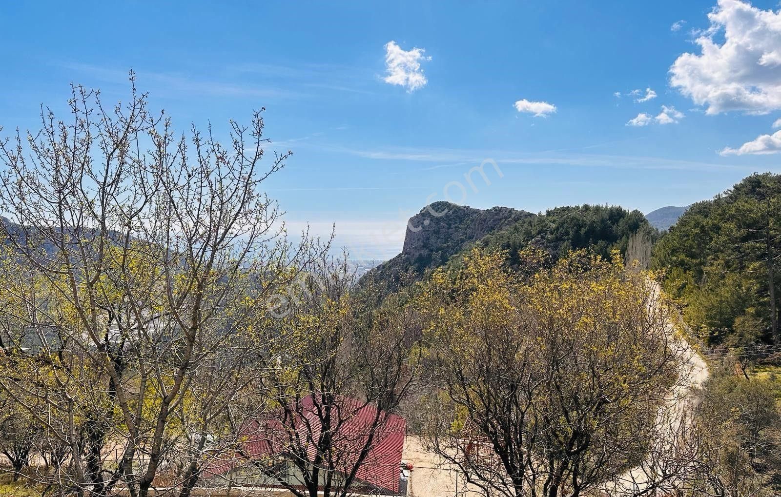 Doğa İçinde Badem Bahçeli Tarla .paradan Değerli - Görsel 8