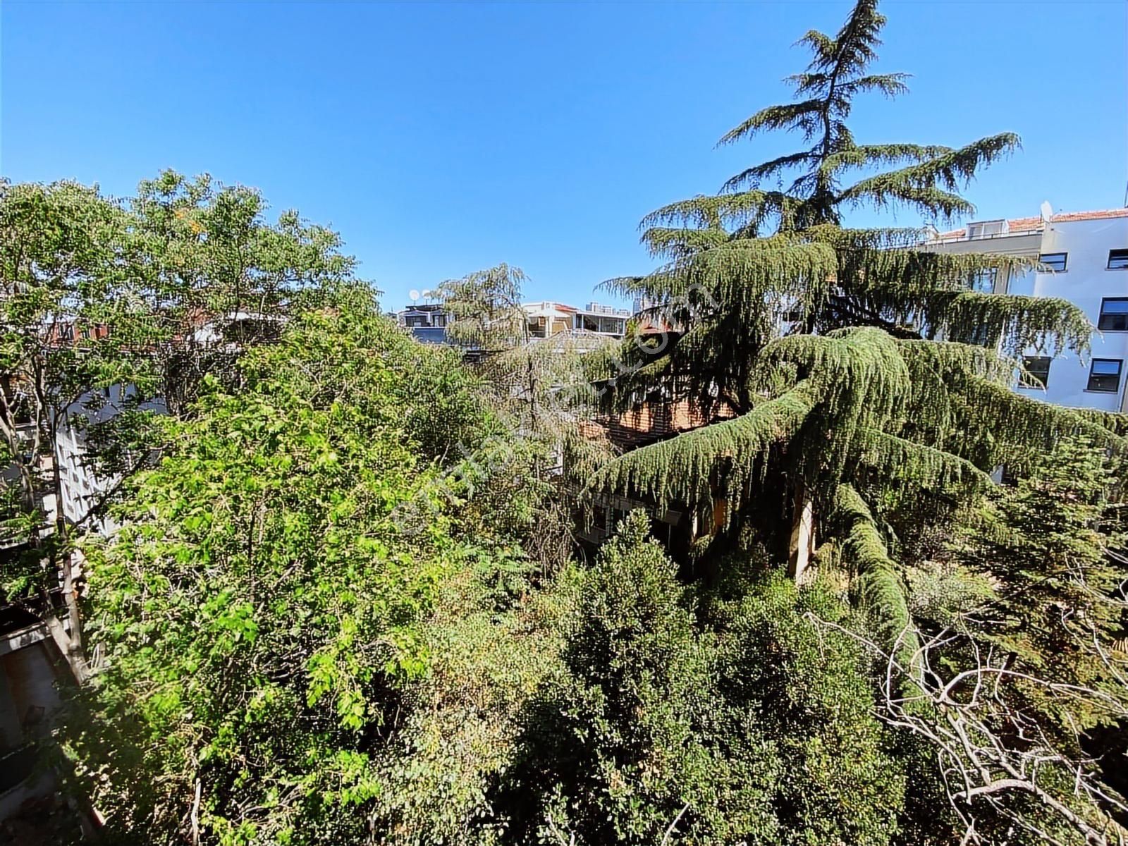 ▃yatırım▃ İdealtepe Sahilde Marmaraya Yakın İskanlı Ara Kat 3+1 - Görsel 32