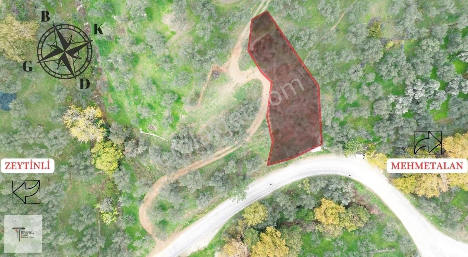 ▓tunaboyludan Doğanın Kalbinde Kaçmaz Fırsat1000m2*zeytinlik▓ - Görsel 5