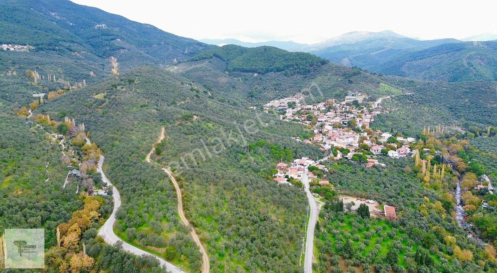 ▓tunaboyludan Doğanın Kalbinde Kaçmaz Fırsat1000m2*zeytinlik▓ - Görsel 25