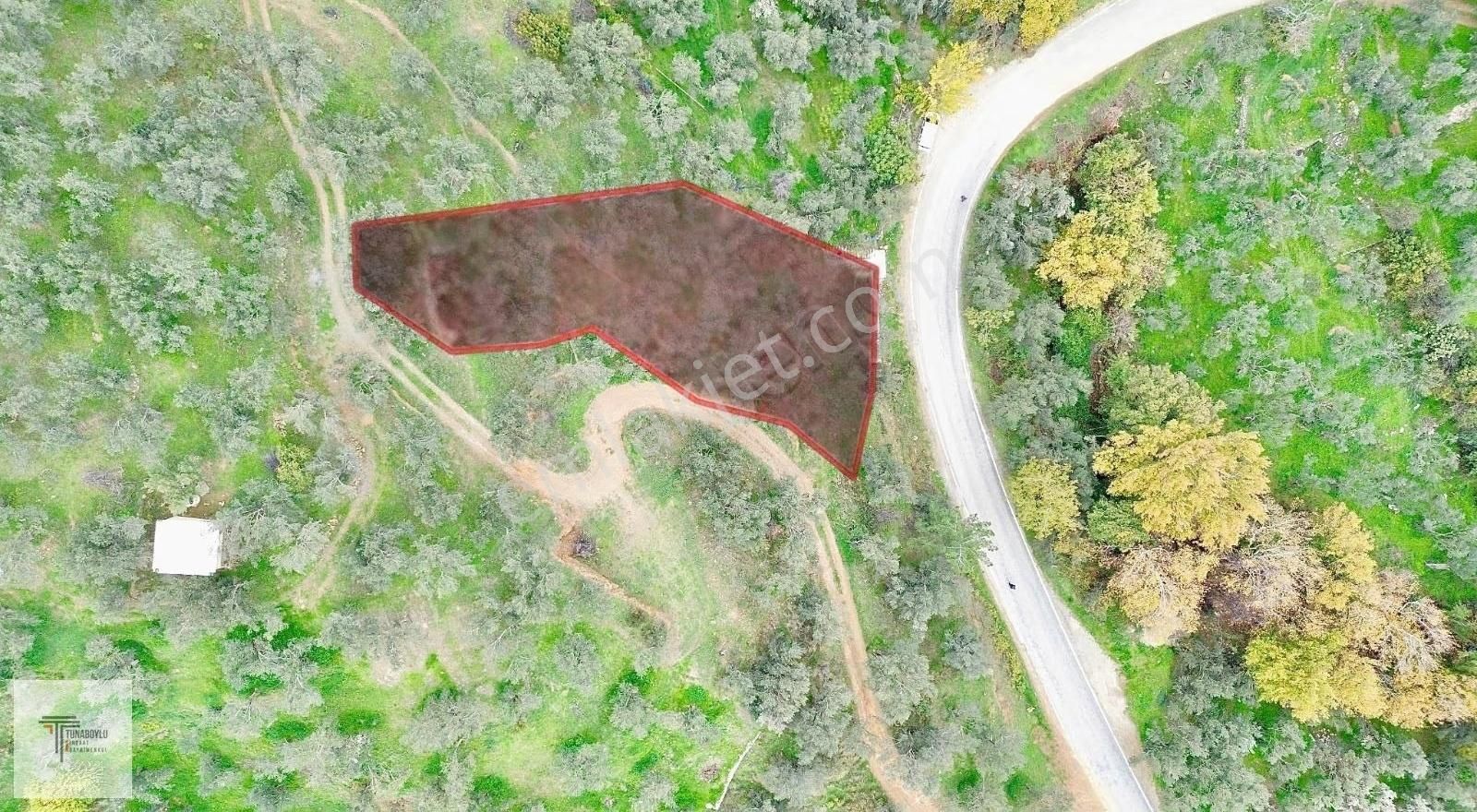 ▓tunaboyludan Doğanın Kalbinde Kaçmaz Fırsat1000m2*zeytinlik▓ - Görsel 6