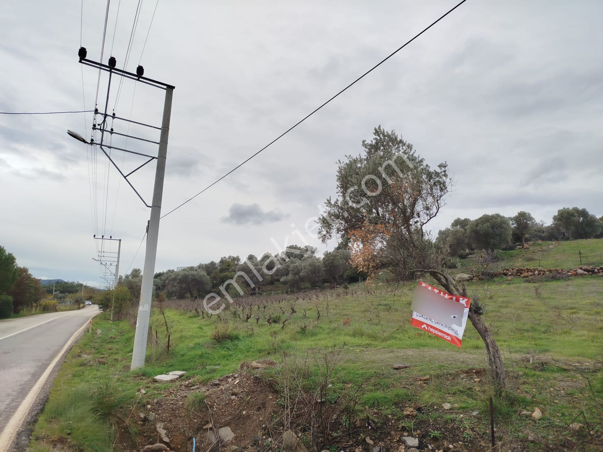 Seferihisar Orhanlı Merkezde Ana Yola Sıfır Tarla - Görsel 8