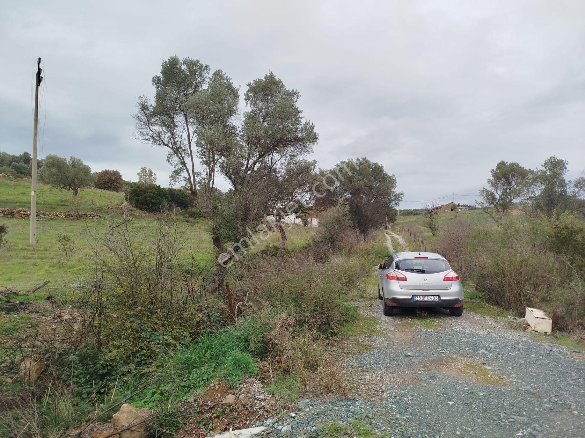 Seferihisar Orhanlı Merkezde Ana Yola Sıfır Tarla - Görsel 7